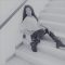 melan, 39 ans, Djelfa, Algérie