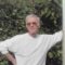 Rolland, 78 ans, Niort, France