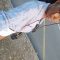 Line, 36 ans, Bordeaux, France