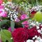 Marie beltiche, 46 ans, Gif-sur-Yvette, France