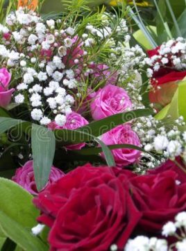 Marie beltiche, 46 ans, Gif-sur-Yvette, France