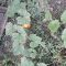 Aziz, 49 ans, Argenteuil, France