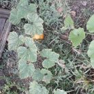 Aziz, 49 ans, Argenteuil, France