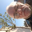 Pierrot, 69 ans, Vitré, France