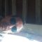 Fabio, 52 ans, Troyes, France