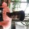 Willy, 33 ans, Abidjan, Côte d\'Ivoire