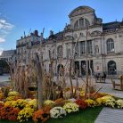 beni, 45 ans, Angers, France
