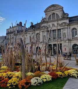 beni, 45 ans, Angers, France